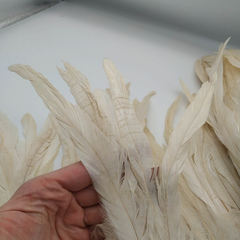 Тесьма  из перьев петуха h 25-30 см, айвори