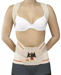 Модуль грудо-поясничный Dorso Evotec, Orliman EV-203/EV-303