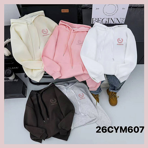 Толстовка-худи хлопок (5-10) 251220-R2141