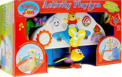 Kiddieland Развивающий гимнастический центр для малыша (KID 041913)