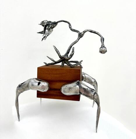 Wood Body Bug #3 из серии «Паранормальные явления» Wood Body Bug #3 из серии «Паранормальные явления»