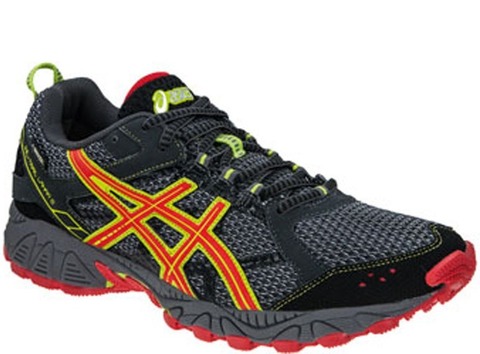 Кроссовки Asics Gel-Trail Lahar 5 G-TX