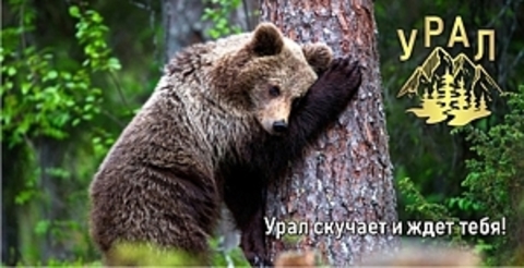 Урал Сувенир - Кружка Урал №0073 Медведь 