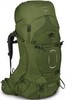 Картинка рюкзак туристический Osprey Aether 65 Garlic Mustard Green - 1