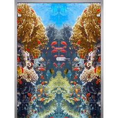 Купить Двустворчатая стеклянная дверь Water триплекс фотопечать