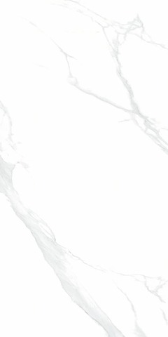 NT Ceramic Bright And Shiny NTT9106 Statuario 60x120