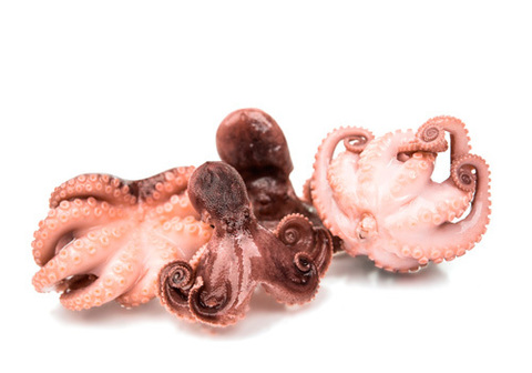 Блюда с маленькими осьминогами, 19 пошаговых рецептов с фото на сайте «Еда»