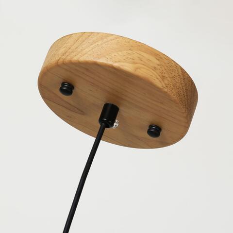 Подвесной светильник Favourite Pendenti 2015-1P