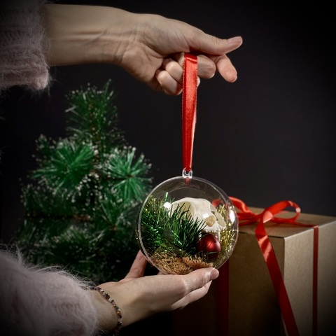 Ёлочный шар