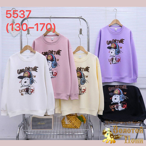 Свитшот хл девочке (8-12) 251220-R-5537