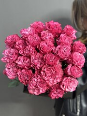 25 пионовидных роз сорта "Кантри Блю" под ленту