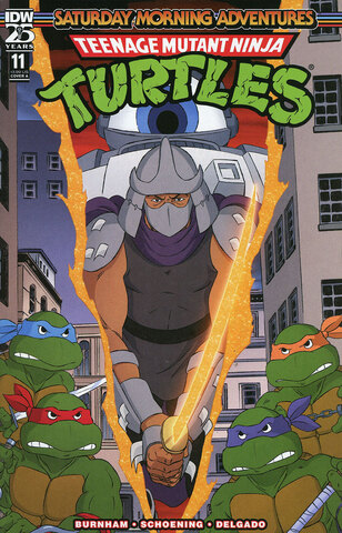 Teenage Mutant Ninja Turtles Saturday Morning Adventures Continued #11  (Cover A)
