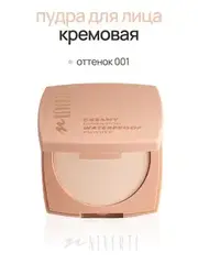 Neverti NP202 Пудра водостойкая 