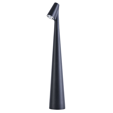 Светильник настольный Arte Lamp Fusion A3283LT-2BK