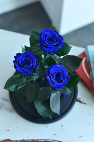 Роза в колбе премиум трио темно-синяя