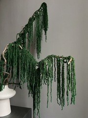 Амарант стабилизированный темно-зеленый