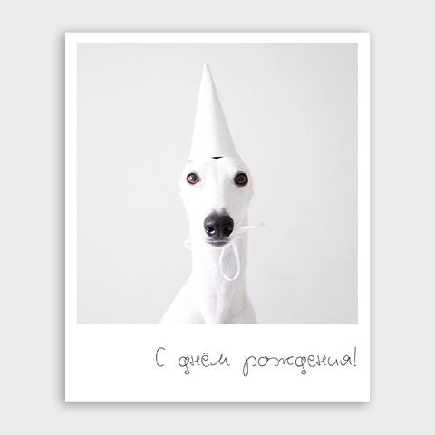 Фото-карточка 