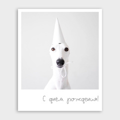 Фото-карточка 