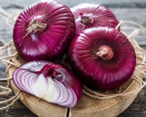 Лук Ялтинский