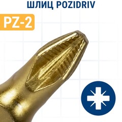 Бита отверточная ПРАКТИКА Эксперт PZ-2 х 25мм Tin (037-046)