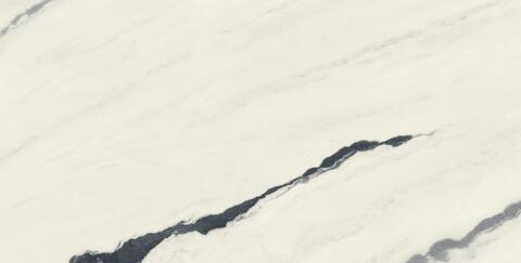 Atlas Concorde Russia Forte Dei Marmi Panda White Lapp 120x278