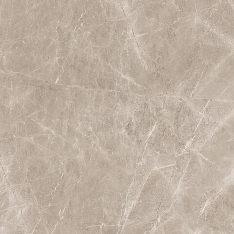 Neodom Sale Frappuccino Taupe Polished 120x120