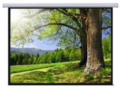 Проекционный экран Mr.Pixel MSPSBC150V2 381 см