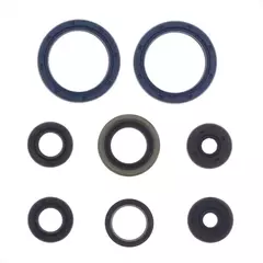 Комплект сальников двигателя P400510400072