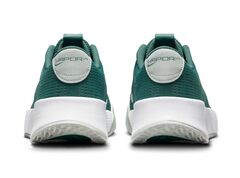 Женские теннисные кроссовки Nike Vapor Lite 2 Clay - bicoastal/white/light silver