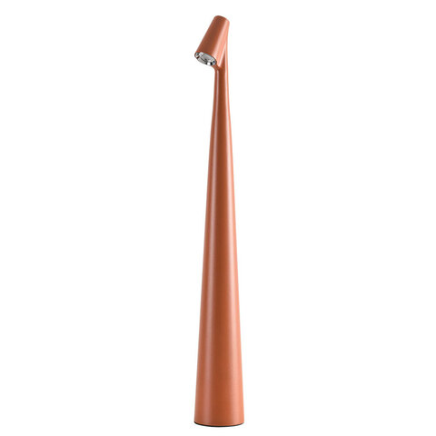 Светильник настольный Arte Lamp Fusion A3283LT-2BR