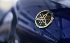 Наклейка-логотип универсальная 