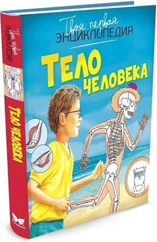 Тело человека