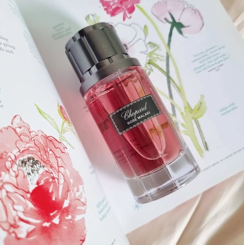 Chopard rose malaki
