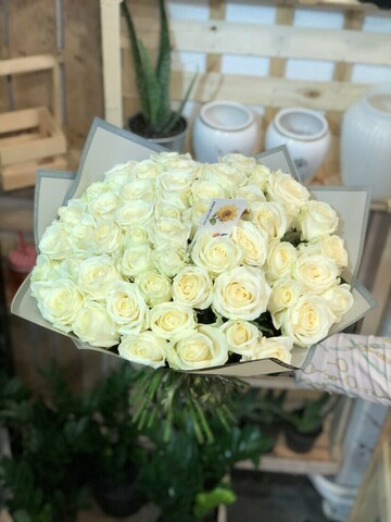 51 белая русская