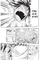 Fairy Tail. Хвост Феи. Том 8