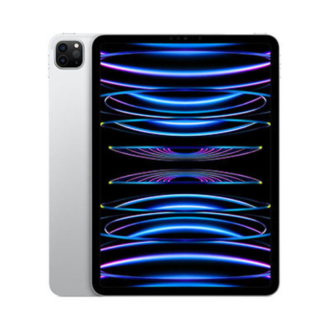 iPad Pro (2022) 11