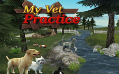 My Vet Practice (для ПК, цифровой код доступа)