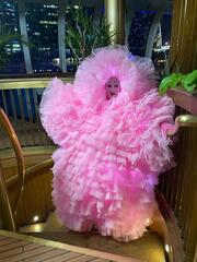 Светящиеся фьёки