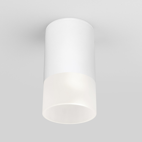 Уличный потолочный светодиодный светильник Light LED 2106 белый
