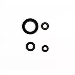 Комплект сальников двигателя P400510400072