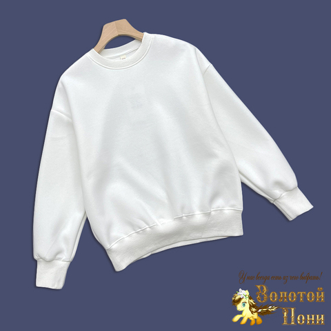 Свитшот хл подрост (10-15) 250802-L1094
