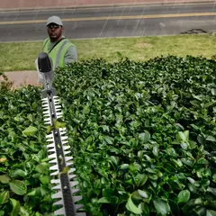 Кусторез телескопический Greenworks PH662T 82V (51см) аккумуляторный, без АКБ и ЗУ