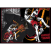 Футболка Hardcore Training Wrestling Bomb