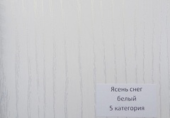 Входная дверь в квартиру  АСД Интер  2К  Букле графит / Ясень белый снег