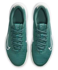 Женские теннисные кроссовки Nike Vapor Lite 2 Clay - bicoastal/white/light silver