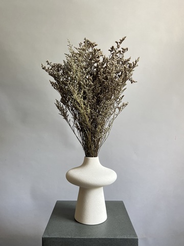 Кермек бело-коричневый