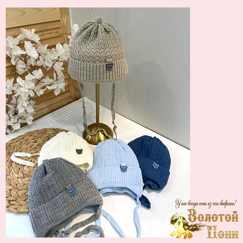 Шапка на синтепоне м (0-1) 251019-Ш4120