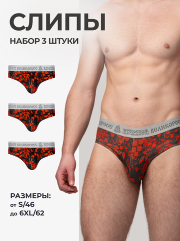 Комплект из 3-х спортивных трусов - «Красная хохлома»