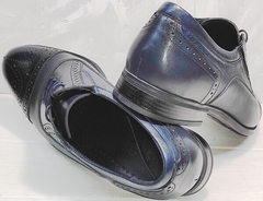 Классика туфли мужские осенние Ikoc 3805-4 Ash Blue Leather.