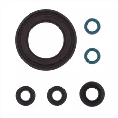 Комплект сальников двигателя P400510400072